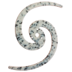 Flowbonacci | Original-Black Marble