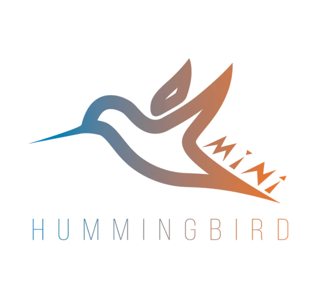 YoYoFriends Hummingbird MINI