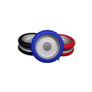 Henrys YoYo Coral Snake