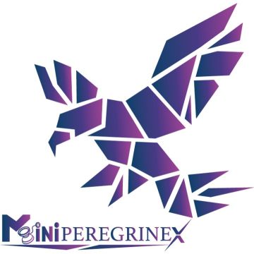 YoYoFriends | Mini Peregrine X